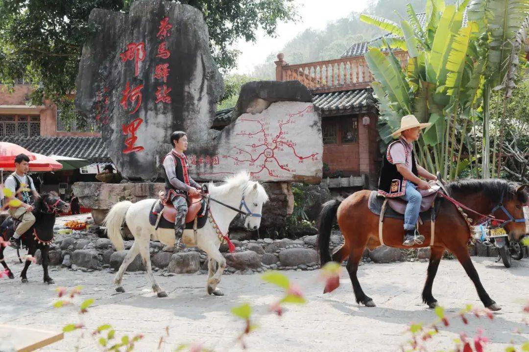 奋力谱写西部大开发新篇章