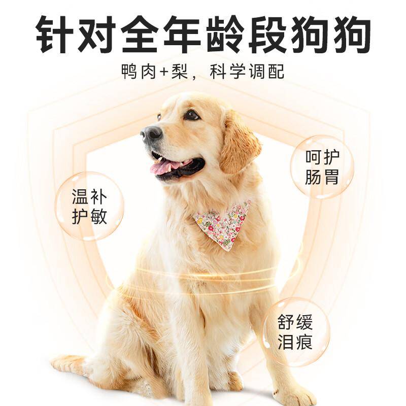 柴犬便便软吃什么狗粮好？哪些牌子的狗粮好？价格与性能权衡