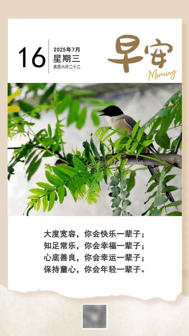 超13万人爆仓！加密货币大跳水！