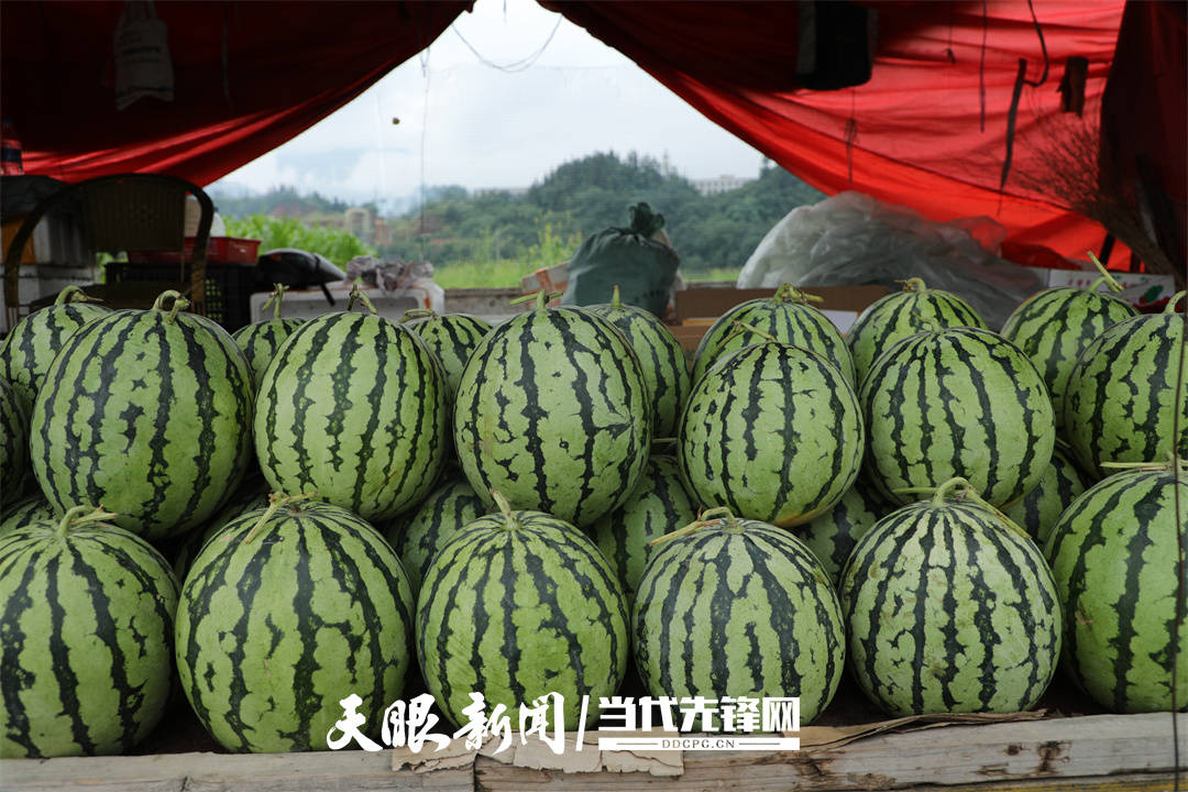石情爱的水果摊