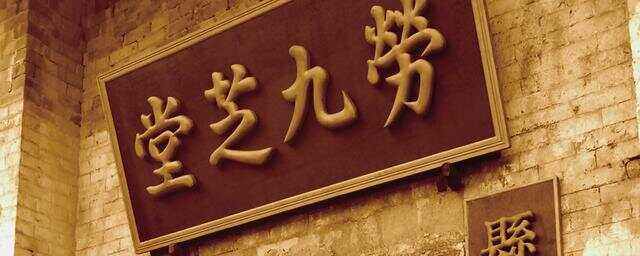 九芝堂股票(九芝堂股票有投资前景吗)