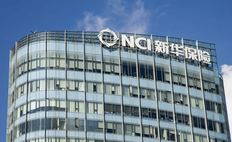 新华基金(新华基金董事长)